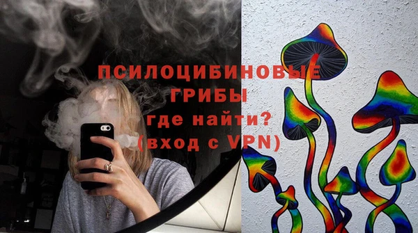 бошки Вязьма