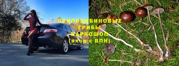 крисы Вяземский