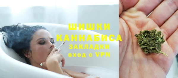 крисы Вяземский