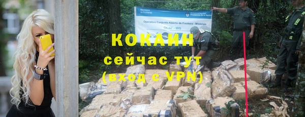 крисы Вяземский