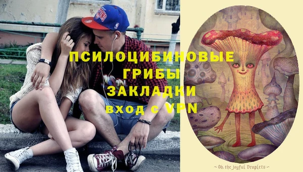 крисы Вяземский